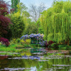 Anaglypta Wall Mural Monet’s Garden in France - 8 Panel (384cm x 260cm)