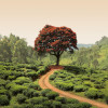 Anaglypta Wall Mural Red Tree and Hills in Sri Lanka - 8 Panel (384cm x 260cm)