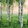 Anaglypta Wall Mural Nordic Forest - 8 Panel (384cm x 260cm)