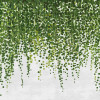 Anaglypta Wall Mural Hanging Plants - 8 Panel (384cm x 260cm)