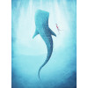 Anaglypta Wall Mural Rivers - The whale shark - 4 Panel (192cm x 260cm)