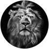 Anaglypta Wall Mural Lion - Round (140cm x 140cm)