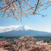 Anaglypta Wall Mural Colombo - Mount Fuji in Japan - 4 Panel (192cm x 260cm)