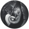 Anaglypta Wall Mural Baby Elephant - Round (140cm x 140cm)