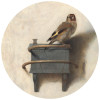 Anaglypta Wall Mural Fabritius - Distlefink - Round (140cm x 140cm)