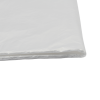 Maxim Plastic Dust Sheet 12' X 9'